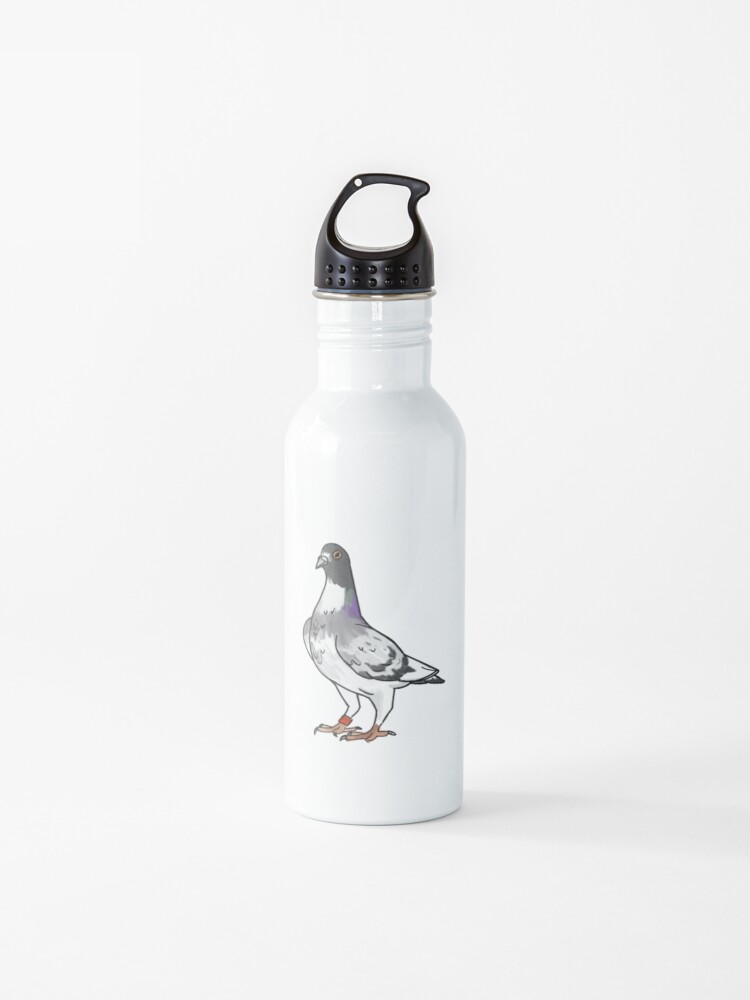 water bottle pigeon