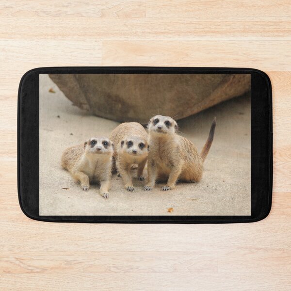 Item preview, Our Cuteness Comes In A Package Deal, 3 For 1! designed and sold by LeanneAllen.