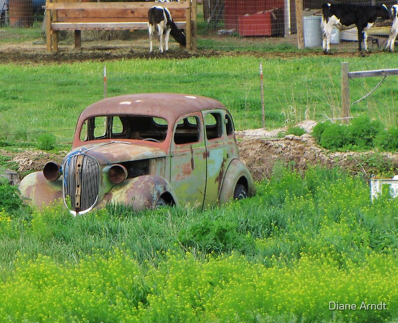  Put Out To Pasture By Diane Arndt Redbubble