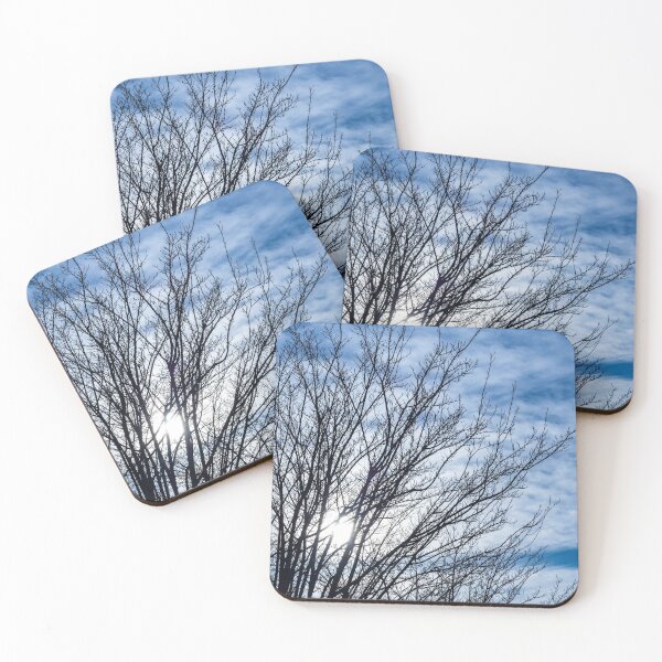 Item preview, Cold Winter Sun designed and sold by srgreen.