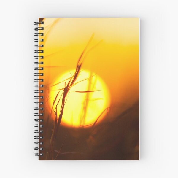 Item preview, Low Sun in Grassy Field designed and sold by srgreen.