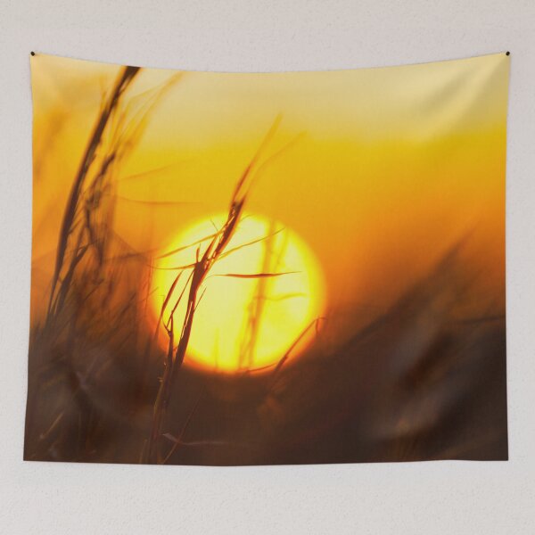 Item preview, Low Sun in Grassy Field designed and sold by srgreen.