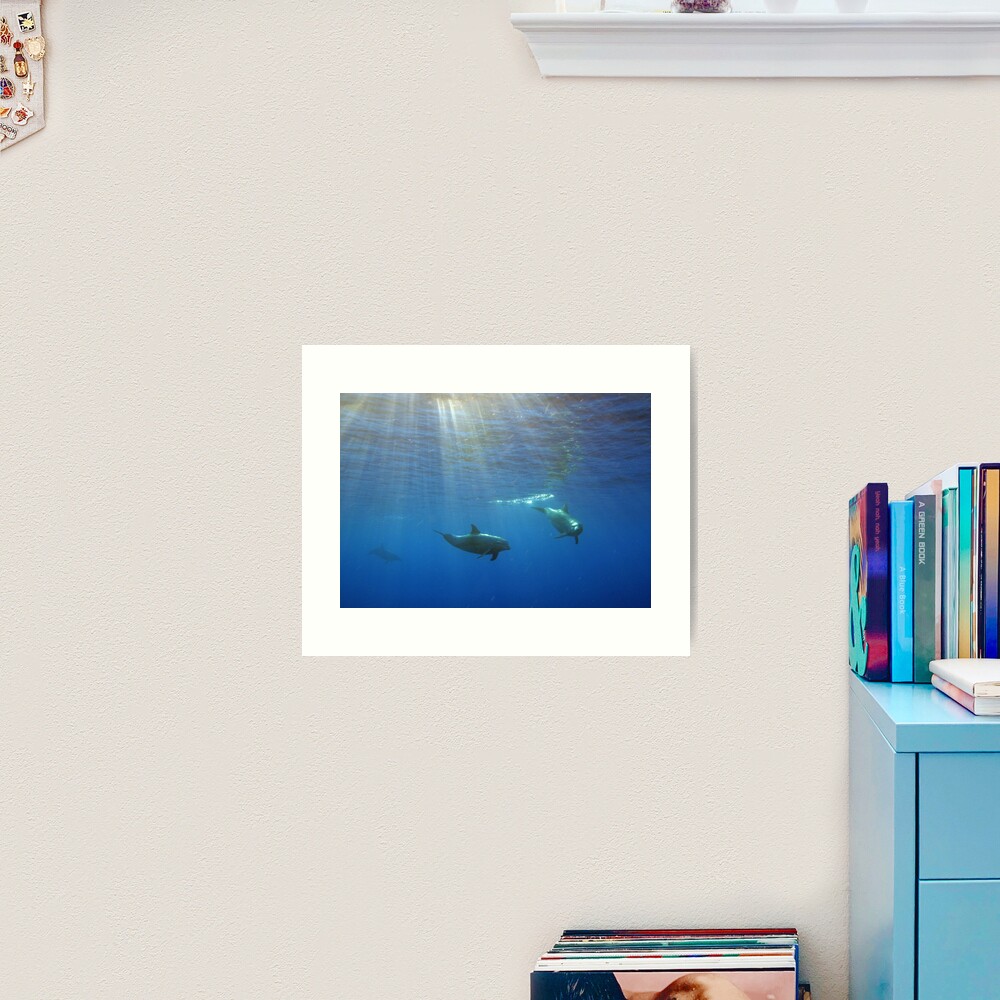Turisops at Sunset Art Print