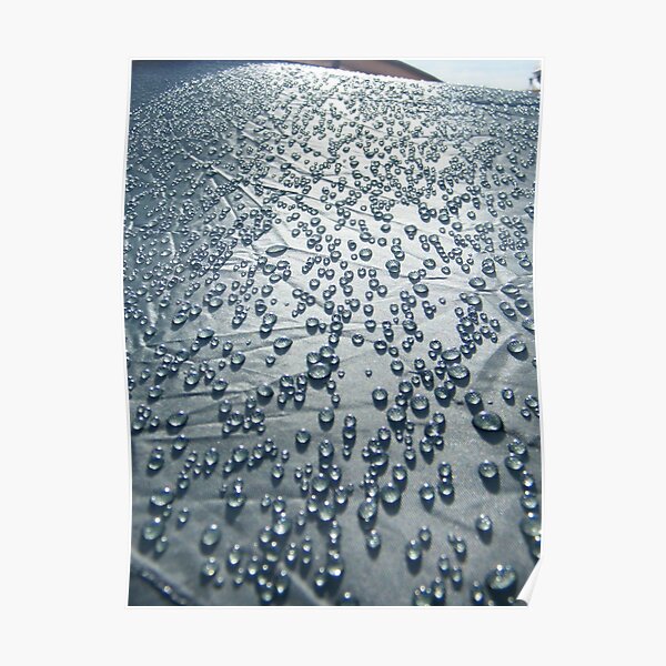 Rain on tent Poster
