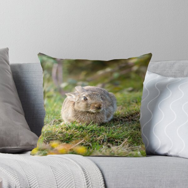 Item preview, Cute Wild Leveret Crouching designed and sold by Alius Imago.