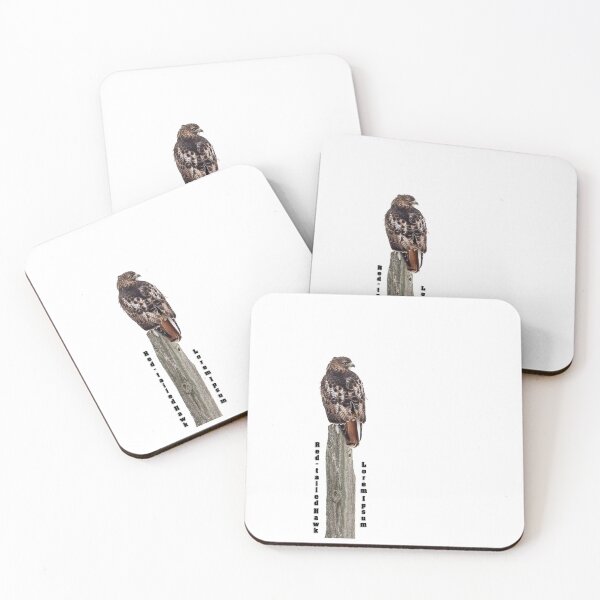 Item preview, Isolated Red-tailed Hawk 2019 designed and sold by Thomasyoung.