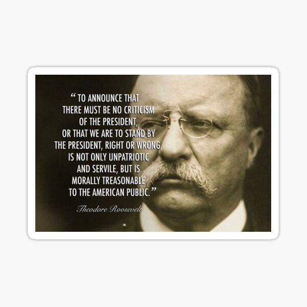 Item preview, You Should Criticise the President - Teddy Roosevelt Quote designed and sold by FireCracker123.