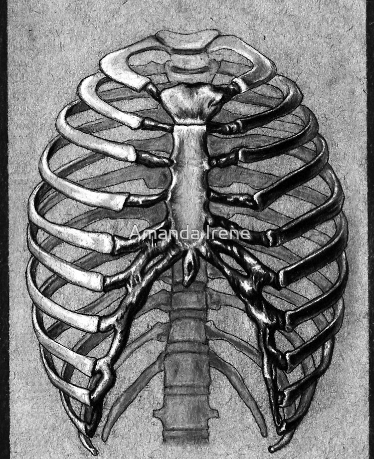 Black Iron Ribcage Skeleton