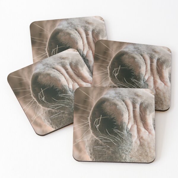 Item preview, A horse that could not stay still. designed and sold by Clint Marien.