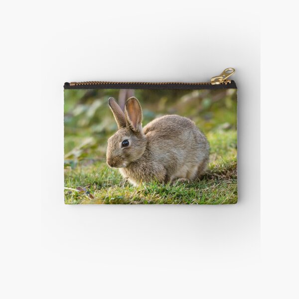 Item preview, Cute Wild Leveret Portrait designed and sold by Alius Imago.