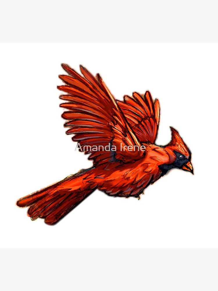 Flying Cardinal Greeting Card By Irenesgoodies Redbubble