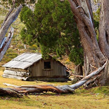 Artwork thumbnail, Dixons Kingdom Hut, Walls of Jerusalem, Australia by Michael Boniwell
