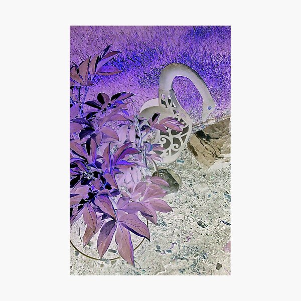 Item preview, Night Garden designed and sold by Linda Bianic.