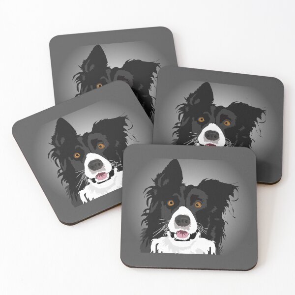 border collie coasters