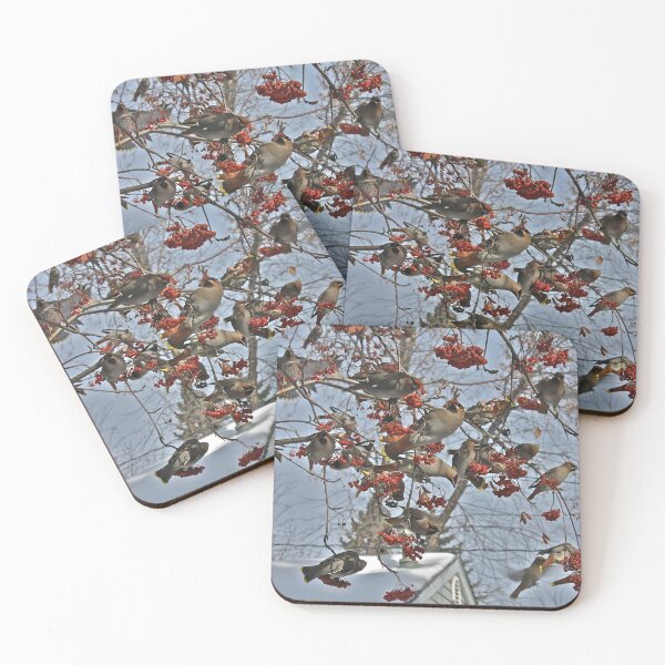 Item preview, Cedar Waxwing Feast designed and sold by Linda Bianic.
