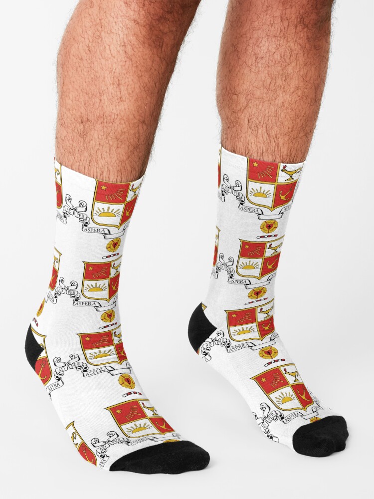 Alternate view of Beta Sigma Psi - Crest Socks