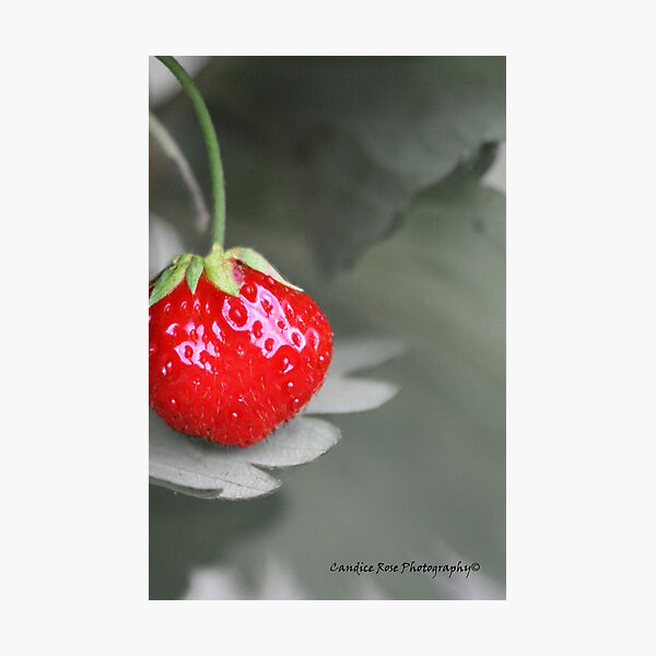 Aperçu de l'œuvre Rêve de fraise créée et vendue par CandiceRose.