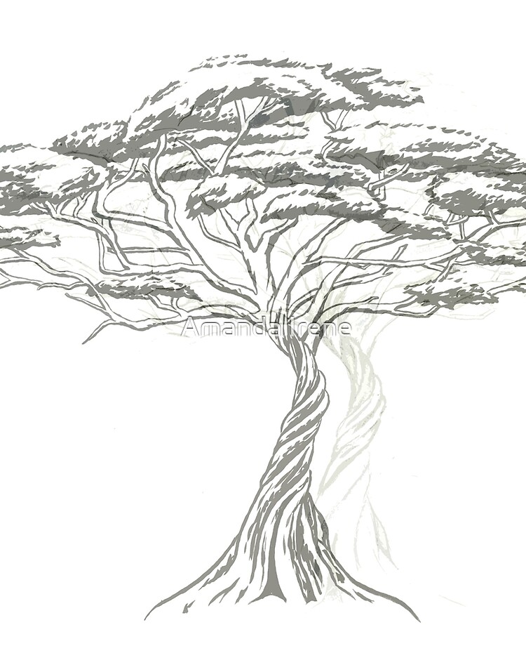 Featured image of post Acacia Tree Drawing Acacias are my new favorite minecraft tree
