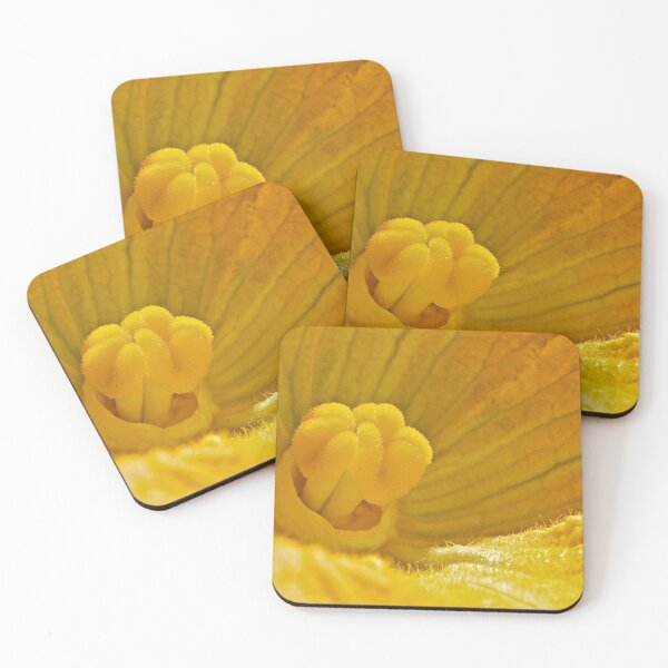 Item preview, Pumpkin Blossom designed and sold by Linda Bianic.