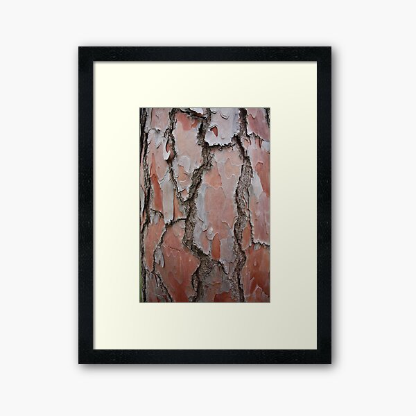 Item preview, pine bark designed and sold by Paul Birch.
