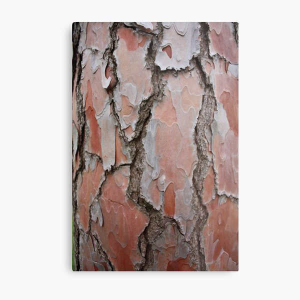 Item preview, pine bark designed and sold by Paul Birch.