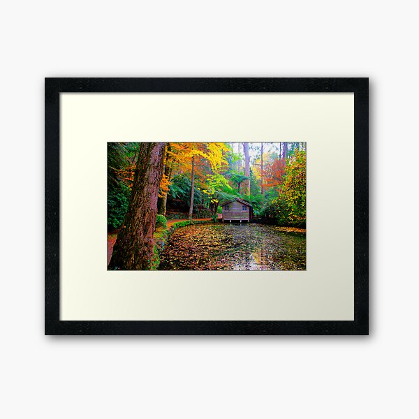 Item preview, All the colours of the rainbow in autumn at Alfred Nicholas Gardens designed and sold by Elana Bailey.