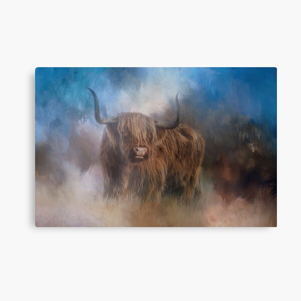 Stunning Highland Cow Canvas Print