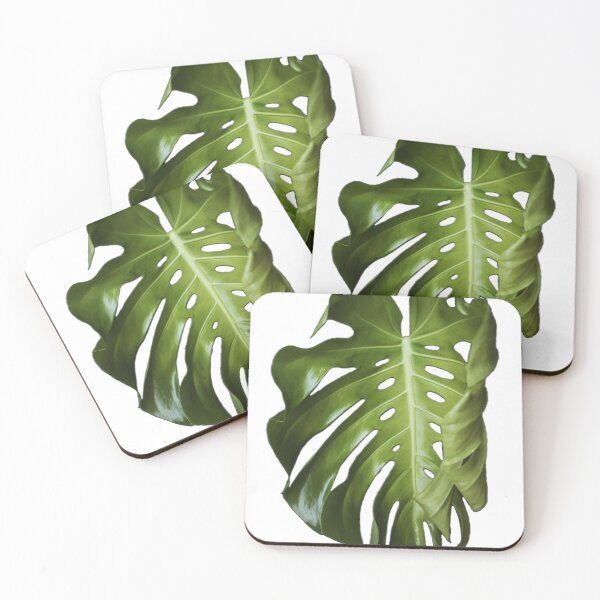 Item preview, Monstera Deliciosa - White designed and sold by arayabelle.