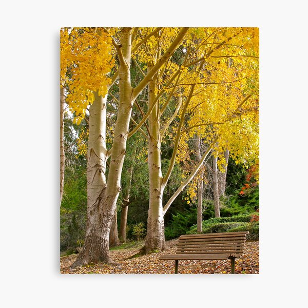 Item preview, Sit among the Autumn Leaves..... designed and sold by browna.