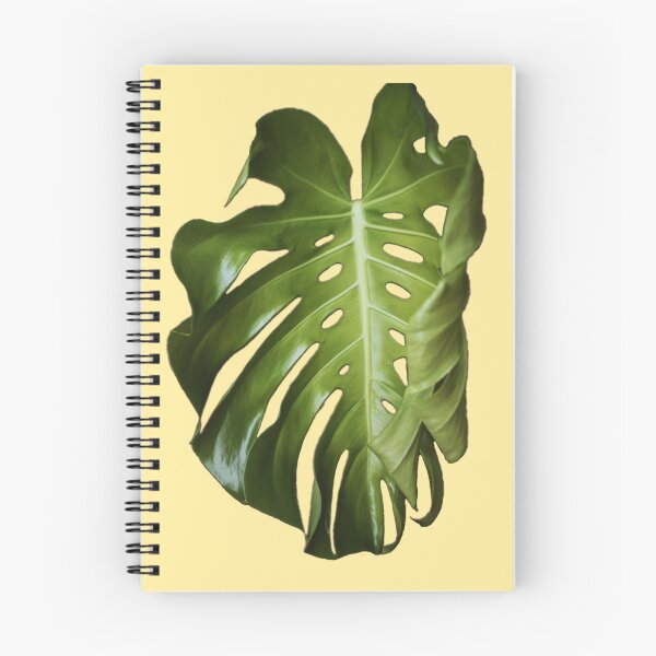 Item preview, Monstera Deliciosa - Yellow designed and sold by arayabelle.