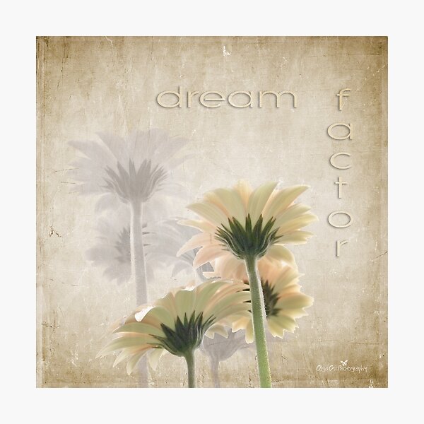 Item preview, Dream factor designed and sold by Olga.