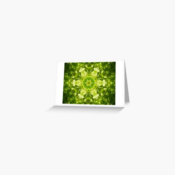 On Sunlit and Vine Greeting Card