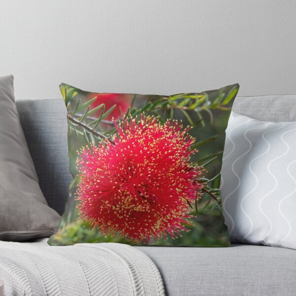 Item preview, Scarlet Honeymyrtle (Melaleuca Fulgens) designed and sold by DPalmer.