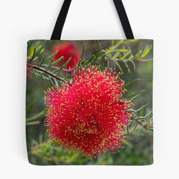 Item preview, Scarlet Honeymyrtle (Melaleuca Fulgens) designed and sold by DPalmer.
