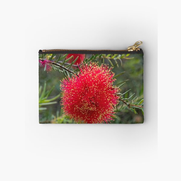 Item preview, Scarlet Honeymyrtle (Melaleuca Fulgens) designed and sold by DPalmer.