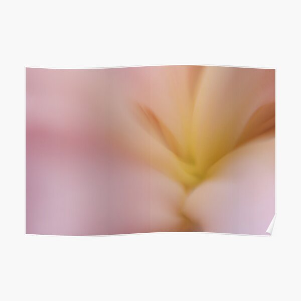 Inner Peony Poster