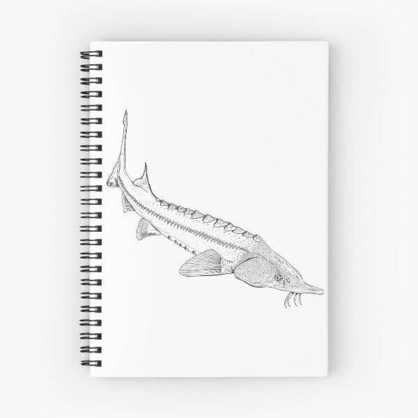 Item preview, Sturgeon 3 designed and sold by InkFish Art.