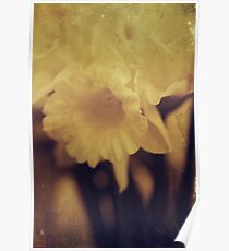 Pale Yellow Poster