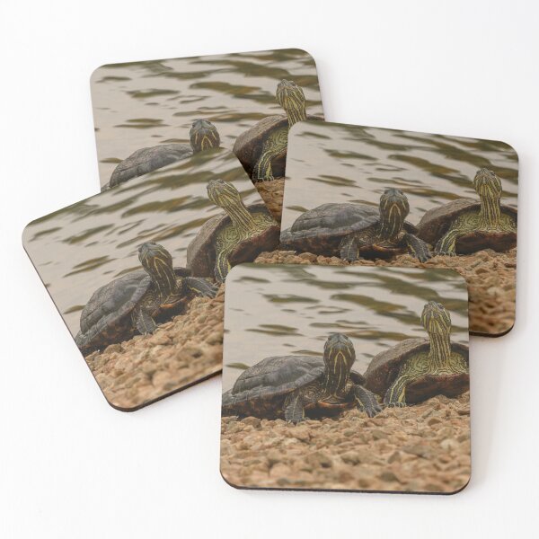 Item preview, Red-eared Sliders designed and sold by Werner Padarin.