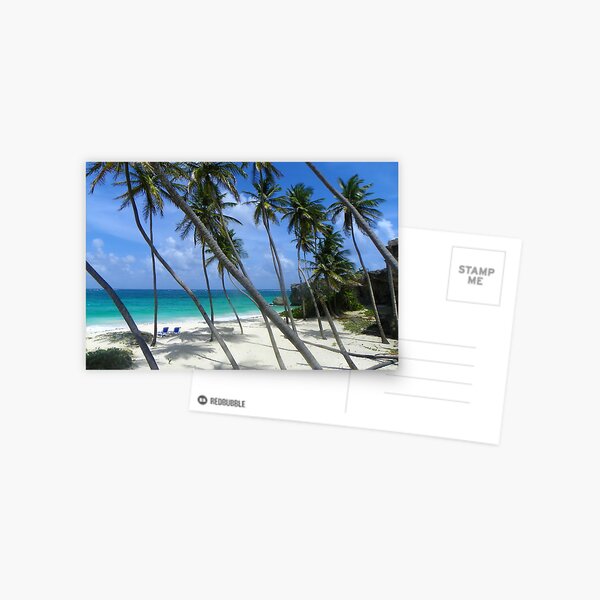 Bottom Bay Barbados Postcard