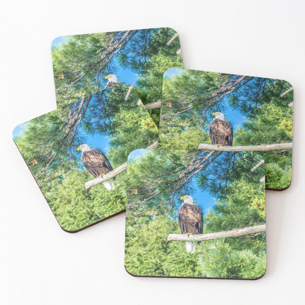 Item preview, Bird of Prey designed and sold by Alex Tonetti Photography.
