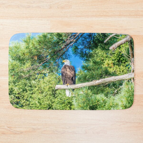 Item preview, Bird of Prey designed and sold by Alex Tonetti Photography.