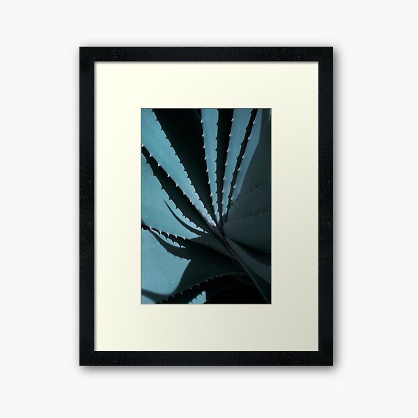 Aloe 02 Gerahmter Kunstdruck