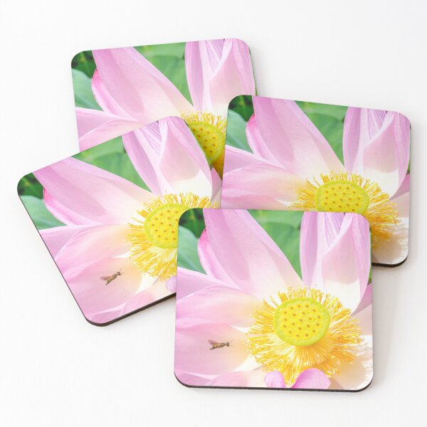 Item preview, Tag You're It designed and sold by Alex Tonetti Photography.