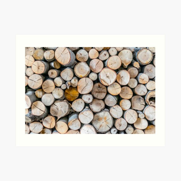 Logged Art Print