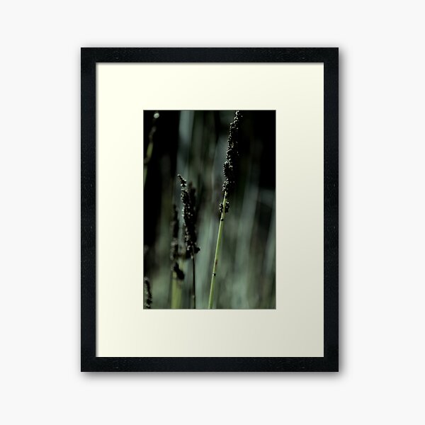 Wild Flower 04 Gerahmter Kunstdruck