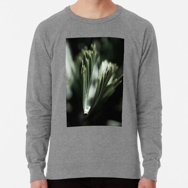 Palm Tree 03 Leichter Pullover