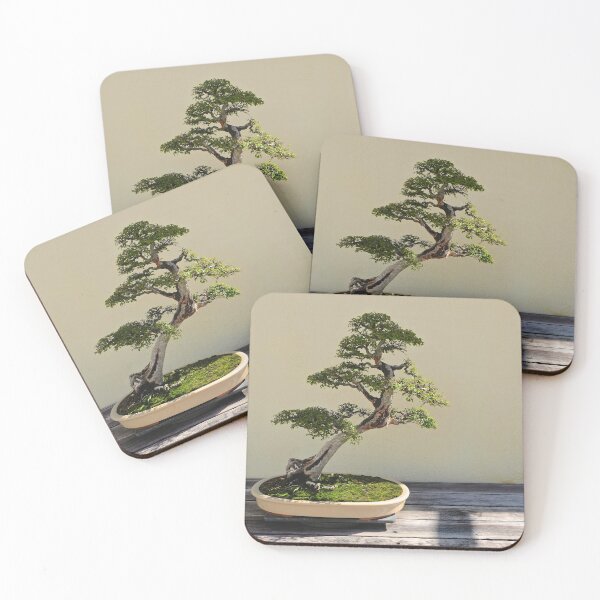 Item preview, Bonsái Bonanza designed and sold by Alex Tonetti Photography.
