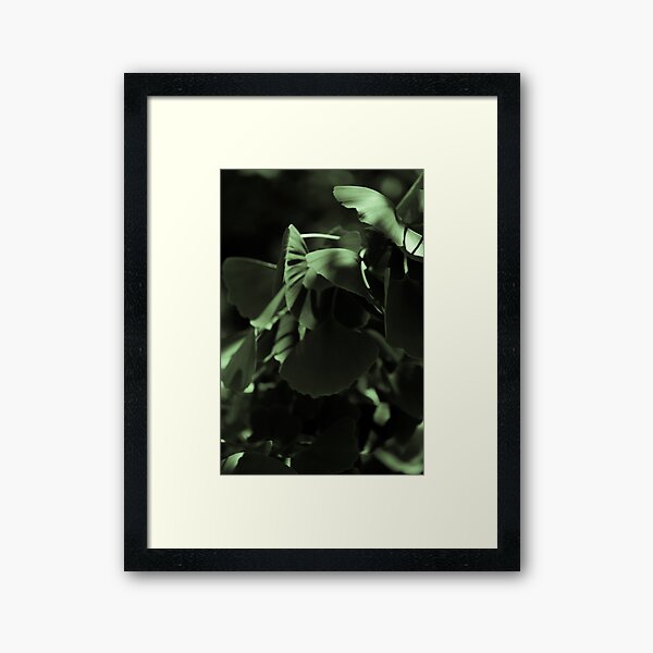 Ginko 02 Gerahmter Kunstdruck