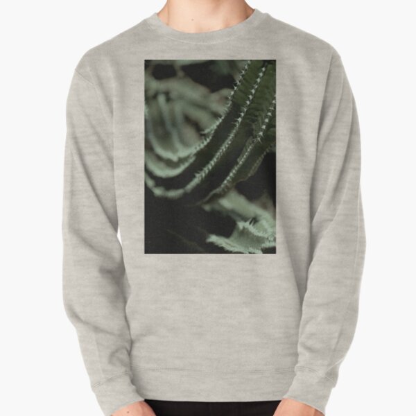 Kaktus 01 Pullover